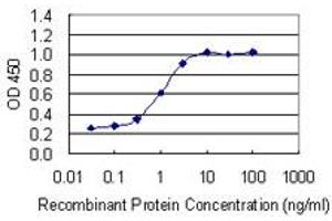 Detection limit for recombinant GST tagged TFEB is 0. (TFEB antibody  (AA 1-476))