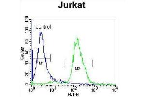 Flow Cytometry (FACS) image for anti-JAZF Zinc Finger 1 (JAZF1) antibody (ABIN2996323) (JAZF1 antibody)