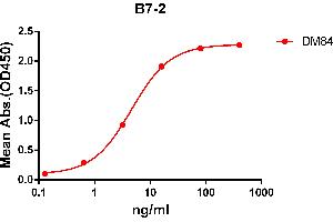 ELISA plate pre-coated by 2 μg/mL (100 μL/well) Human B7-2 protein, mFc-His tagged protein ABIN6961107, ABIN7042243 and ABIN7042244 can bind Rabbit anti-B7-2 monoclonal antibody  (clone: DM84) in a linear range of 1-100 ng/mL. (CD86 antibody  (AA 26-247))