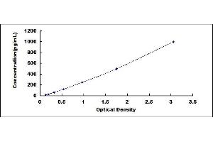 ELISA image for Lipopolysaccharide Binding Protein (LBP) ELISA Kit (ABIN4947823) (LBP ELISA Kit)