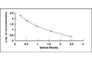 ELISA image for Homovanillic Acid (HVA) ELISA Kit (ABIN1169639) (Homovanillic Acid ELISA Kit)