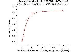 Immobilized Cynomolgus Mesothelin (296-580), His Tag (ABIN6973155) at 2 μg/mL (100 μL/well) can bind Biotinylated Human CA125, Fc,Avitag (ABIN5954926,ABIN6253567) with a linear range of 2-39 ng/mL (Routinely tested). (Mesothelin Protein (MSLN) (AA 296-580) (His tag))