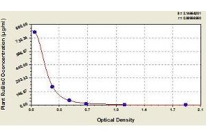 Typical standard curve (Ribulose-1,5-Bisphosphate Carboxylase/oxygenase(RuBisCO) ELISA Kit)