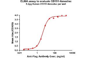 CD151 Protein (CD151)