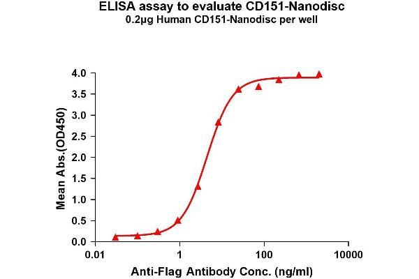 CD151 Protein (CD151)