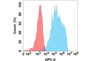 Flow cytometry analysis with Anti-IL18RA (DM218) on Expi293 cells transfected with human IL18RA (Blue histogram) or Expi293 transfected with irrelevant protein (Red histogram). (IL18R1 antibody)