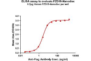 Elisa plates were pre-coated with Flag Tag -Nanodisc (0. (FZD10 Protein)