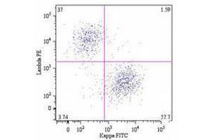 Flow Cytometry (FACS) image for Mouse anti-Human Ig (Chain kappa), (Light Chain) antibody (PE) (ABIN238382) (Mouse anti-Human Ig (Chain kappa), (Light Chain) Antibody (PE))