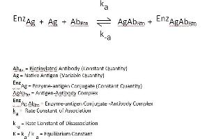 The essential reagents required for a enzyme immunoassay include antibody, enzyme-antigen conjugate and native antigen. (Dehydroepiandrosterone Sulfate ELISA Kit)