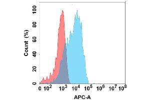 Flow cytometry analysis with Anti- on Expi293 cells transfected with human (Blue histogram) or Expi293 transfected with irrelevant protein (Red histogram). (GPR87 antibody)