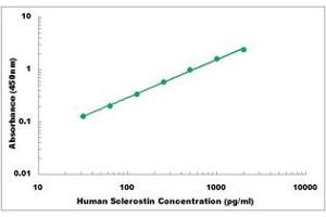 Representative Standard Curve (Sclerostin ELISA Kit)