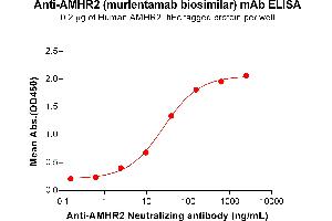 ELISA plate pre-coated by 2 μg/mL (100 μL/well) Human A Protein, hFc Tag (ABIN7092714, ABIN7272246 and ABIN7272247) can bind Anti-A Neutralizing antibody (ABIN7478005 and ABIN7490944) in a linear range of 2. (Recombinant AMHR2 (Murlentamab Biosimilar) antibody)