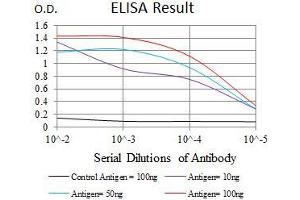 ELISA image for anti-Myocyte Enhancer Factor 2C (MEF2C) (AA 1-125) antibody (ABIN1098145)