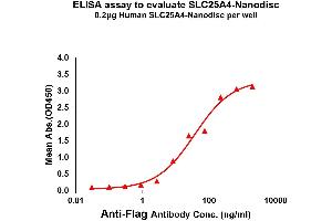 Elisa plates were pre-coated with Flag Tag A4-Nanodisc (0. (SLC25A4 Protein)