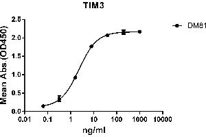 ELISA plate pre-coated by 2 μg/mL (100 μL/well) Human protein, mFc-His tagged protein ABIN6961103, ABIN7042235 and ABIN7042236 can bind Rabbit anti- monoclonal antibody (clone: DM81) in a linear range of 0. (TIM3 antibody  (AA 22-202))