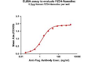 Elisa plates were pre-coated with Flag Tag -Nanodisc (0. (FZD4 Protein)