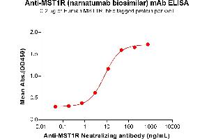 ELISA plate pre-coated by 2 μg/mL (100 μL/well) Human R Protein, hFc Tag (ABIN6964141, ABIN7042561 and ABIN7042562) can bind Anti-R Neutralizing antibody (ABIN7478014 and ABIN7490967) in a linear range of 0. (Recombinant MST1R (Narnatumab Biosimilar) antibody)