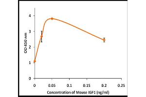 IGF1 Protein