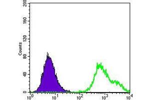 Flow Cytometry (FACS) image for anti-Heat Shock 27kDa Protein 1 (HSPB1) antibody (ABIN969199)