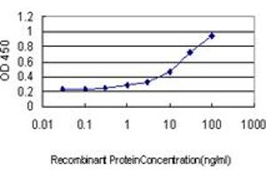 Detection limit for recombinant GST tagged MAZ is approximately 0. (MAZ antibody  (AA 332-440))