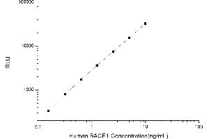 Typical standard curve (BACE1 CLIA Kit)