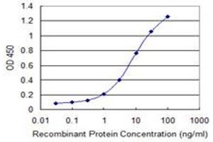 Detection limit for recombinant GST tagged FOXJ2 is 0. (Forkhead Box J2 antibody  (AA 475-574))