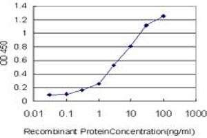 ELISA image for anti-Zinc Finger Protein 259 (znf259) (AA 361-460) antibody (ABIN598588) (ZNF259 antibody  (AA 361-460))