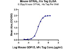 ELISA image for GDNF Family Receptor alpha Like (GFRAL) protein (His-Avi Tag) (ABIN7274739)