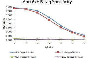 ELISA of Mouse anti-6xHIS Tag Antibody. (His Tag antibody  (DyLight 549))