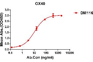 ELISA plate pre-coated by 2 μg/mL (100 μL/well) Human OX40 protein, hFc-His tagged protein ABIN6961095, ABIN7042219 and ABIN7042220 can bind Rabbit anti-OX40 monoclonal antibody  (clone: DM116) in a linear range of 6-70 ng/mL. (TNFRSF4 antibody  (AA 29-216))