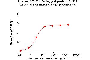 ELISA plate pre-coated by 1 μg/mL (100 μL/well) Human SELP Protein, hFc Tag(ABIN6961139, ABIN7042307 and ABIN7042308) can bind Anti-SELP Rabbit mAb in a linear range of 0. (P-Selectin Protein (AA 42-771) (Fc Tag))