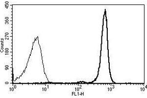 A typical staining pattern with the B-A11 monoclonal antibody of lymphocytes (CD45 antibody)