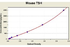 Diagramm of the ELISA kit to detect Mouse TSHwith the optical density on the x-axis and the concentration on the y-axis. (TSH ELISA Kit)