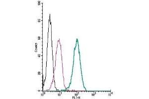 Cell surface detection of LPAR2 (EDG4) by indirect flow cytometry in live intact human THP-1 monocytic leukemia cells: (black line) Cells. (EDG4 antibody  (Extracellular, N-Term))