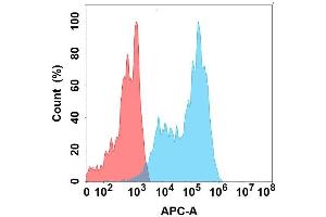 Flow cytometry analysis with Anti-SIG on Expi293 cells transfected with human SIG (Blue histogram) or Expi293 transfected with irrelevant protein (Red histogram). (SIGLEC7 antibody)