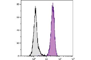 Human peripheral blood granulocytes were stained with Mouse Anti-Human CD11b-BIOT. (CD11b antibody  (Biotin))