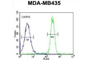 Flow Cytometry (FACS) image for anti-Coiled-Coil Domain Containing 101 (CCDC101) antibody (ABIN3002249) (SGF29 antibody)