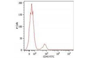 Flow Cytometry (FACS) image for anti-CD40 (CD40) antibody (ABIN263929) (CD40 antibody)