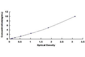 Typical Standard Curve (PCNA ELISA Kit)