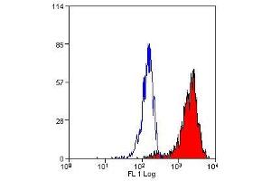 Flow Cytometry (FACS) image for anti-Lysosomal-Associated Membrane Protein 2 (LAMP2) antibody (ABIN2478101) (LAMP2 antibody)