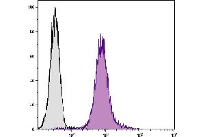 C57BL/6N T lymphocyte cell line EL-4 was stained with Hamster Anti-Mouse CD28-PE. (CD28 antibody  (Biotin))