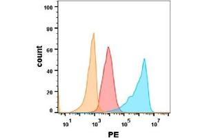 EGFR protein is highly expressed on the surface of Expi293 cell membrane. (EGFR antibody  (AA 25-645))