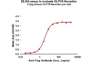 Elisa plates were pre-coated with Flag Tag R-Nanodisc (0. (GLP1R Protéine)