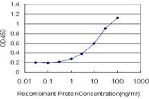 Detection limit for recombinant GST tagged JTB is approximately 1ng/ml as a capture antibody. (JTB antibody  (AA 1-146))