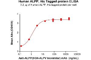 ELISA plate pre-coated by 2 μg/mL (100 μL/well) Human ALPP Protein, His Tag (ABIN7455759, ABIN7491368 and ABIN7491369) can bind Anti-ALPP(SGN-ALPV biosimilar) mAb in a linear range of 0. (PLAP Protein (AA 23-505) (His tag))