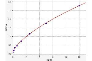 Typical standard curve (IRF5 ELISA Kit)