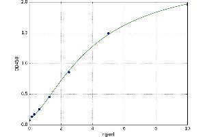 A typical standard curve (Coronin 1a ELISA Kit)