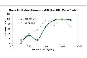 SDS-PAGE of Mouse Interleukin-12 Recombinant Protein Bioactivity of Mouse Interleukin-12 Recombinant Protein. (IL12 Protein)