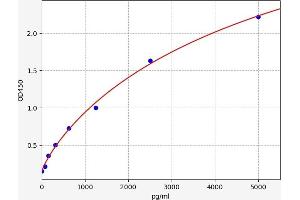 Typical standard curve (CD56 ELISA Kit)