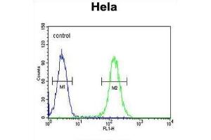 Flow Cytometry (FACS) image for anti-Forkhead Box L2 (FOXL2) antibody (ABIN2995546) (FOXL2 antibody)